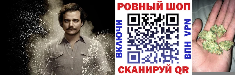Сколько стоит Верхняя Пышма Псилоцибиновые грибы  Амфетамин  Меф мяу мяу  Alpha PVP  COCAIN 