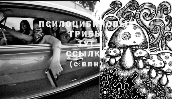 наркотики Белокуриха