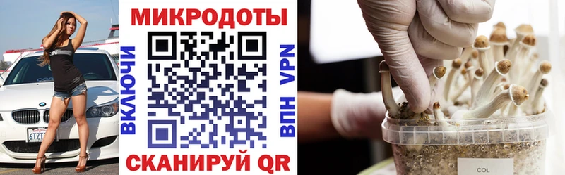 кракен как зайти сколько стоит Верхняя Пышма Псилоцибиновые грибы ЛСД